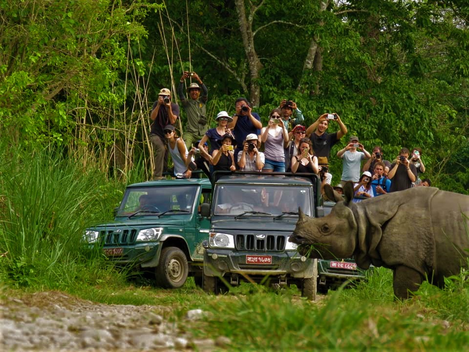 Chitwan Day Tour ( Canoeing+Jungle Walk+ Jeep Safari ) – The Chitwan Jungle  Guides