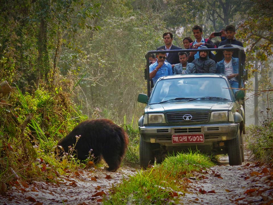jungle safari in Chitwan, Chitwan tour package, Chitwan national Park, Chitwan jungle safari package