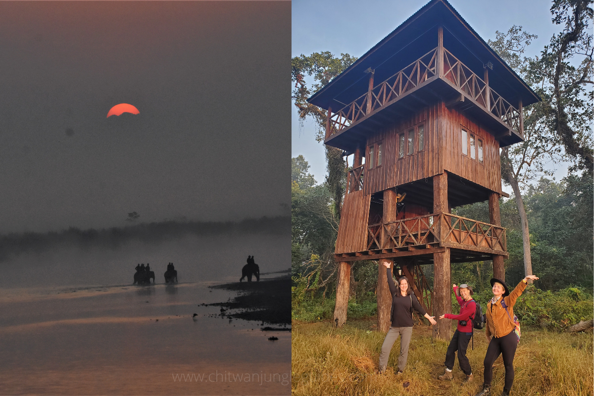 overnight tower in Chitwan National Park